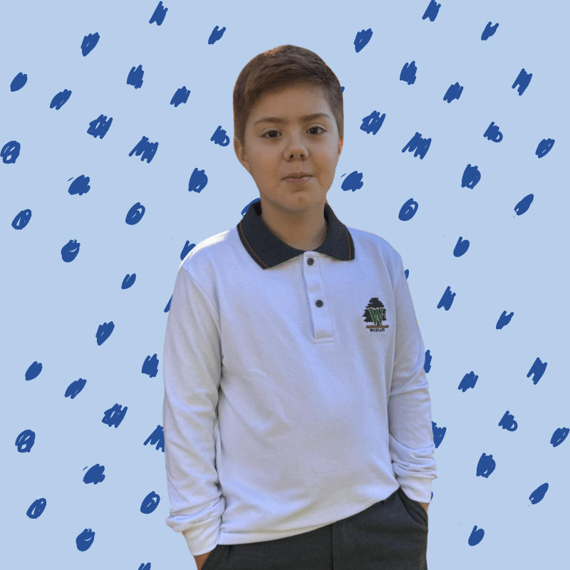 POLERA UNIFORME M/LARGA COLEGIO WOODLAND