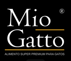 Mio Gatto