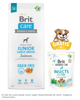 BRIT CARE GRAIN FREE JUNIOR LARGE BREED SALMÓN 12kg + 1 snack gratis