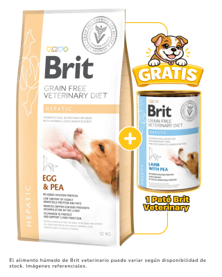 BRIT GF VET DIET DOG HEPATIC 12kg + 1 paté Brit Veterinary 400 gr gratis