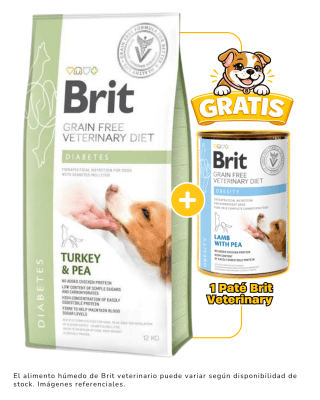 BRIT GF VET DIETS DOG DIABETES 12kg + 1 paté Brit Veterinario 400 gr gratis