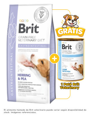 BRIT GF VET DIET DOG GASTROINTESTINAL 12kg + 1 paté Brit Veterinary 400 gr gratis