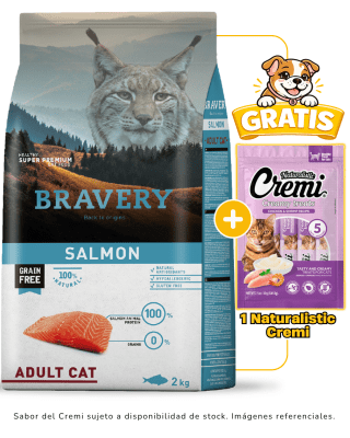 BRAVERY SALMON ADULT CAT 2kg + 1 Cremi Naturalistic gratis