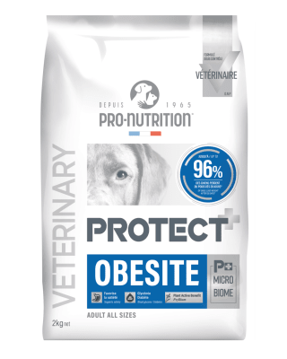 Protect Dog Obesite 2kg