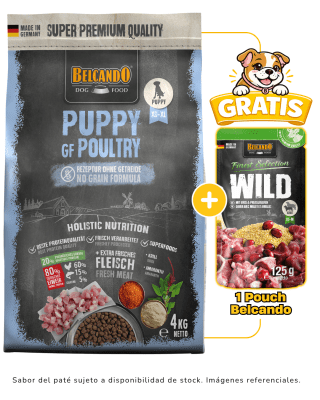 Belcando Puppy GF Poultry 4kg + 1 pouch Belcando 125gr gratis