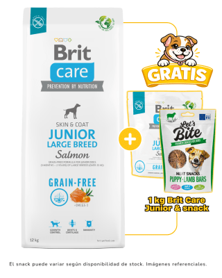 BRIT CARE GRAIN FREE JUNIOR LARGE BREED SALMÓN 12kg + 1kg & snack gratis