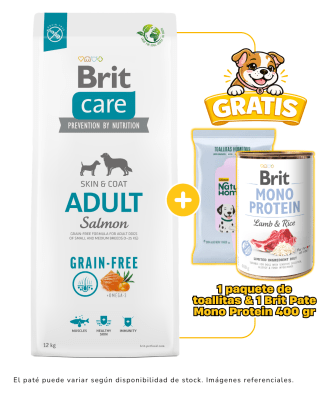 BRIT CARE GRAIN FREE ADULT SALMÓN 12kg + 1 paquete de toallitas & 1 paté Brit monoprotein gratis