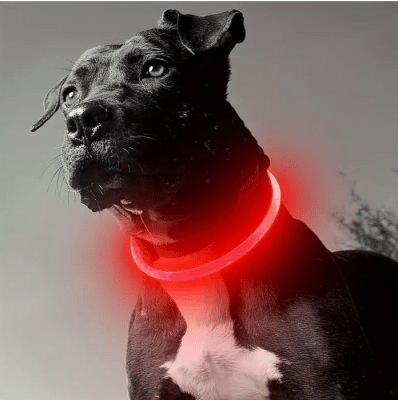Collar Luminoso LED recargable Rojo (Large)