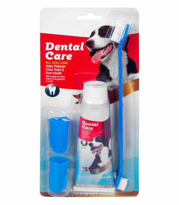 Dental Care - Kit Pasta Dental