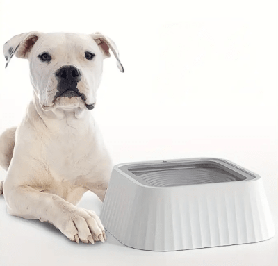 Plato para agua antiderrame para mascota