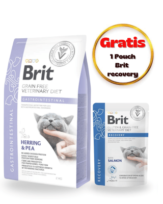 BRIT GF VET DIETS CAT GASTROINTESTINAL 2KG - Pack Cuidado