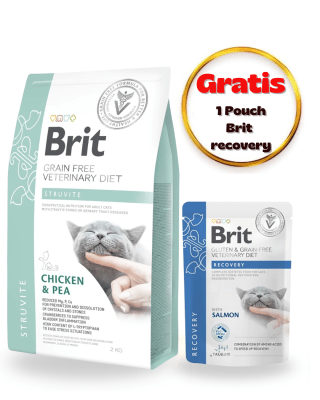 BRIT GF VET DIETS CAT STRUVITE 2kg - Pack Cuidado