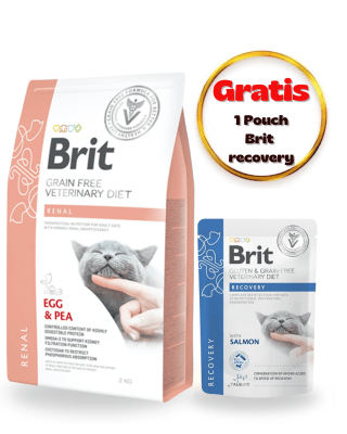 BRIT GF VET DIETS CAT RENAL 2kg - PACK CUIDADO