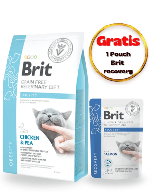 BRIT GF VET DIETS CAT OBESITY 2kg - Pack Cuidado