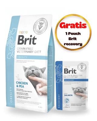BRIT GF VET DIETS CAT OBESITY 5kg - Pack Cuidado