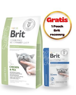 Brit GF Vet Diet Cat Diabetes 2kg - Pack Cuidado