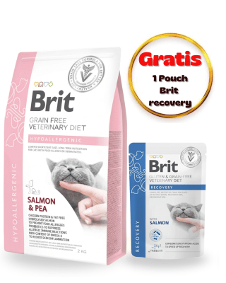 BRIT GF VET DIET CAT HYPOALLERGENIC 2kg - Pack Cuidado