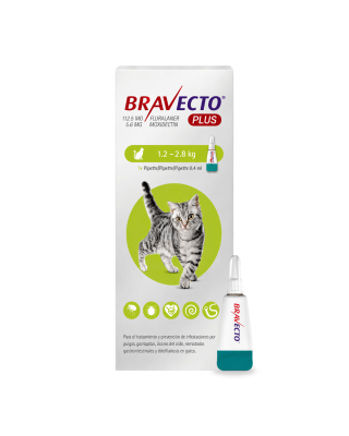 Bravecto Plus Pipeta Antipulgas para Gato - 1.2kg a 2.8kg