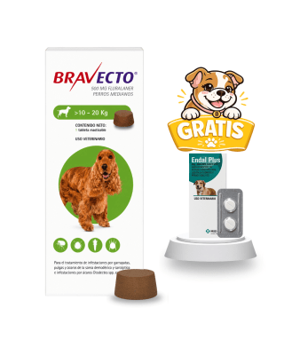 Bravecto 10 a 20kg + 2 Pastillas Endal Plus