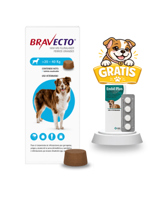 Bravecto 20 a 40kg + 4 Pastillas Endal Plus