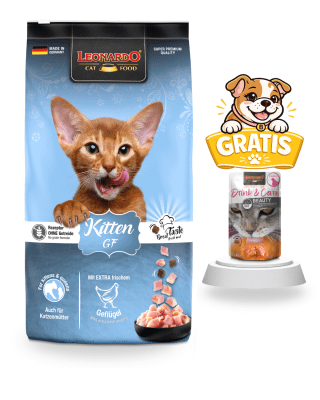 Leonardo Kitten GF 7.5kg + Drink