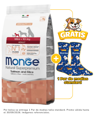 Monge Canine adult mini salmon y arroz 2.5 Kg + 1 par de medias talla standard gratis