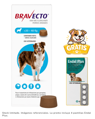 Bravecto 20 a 40kg + 4 Pastillas Endal Plus