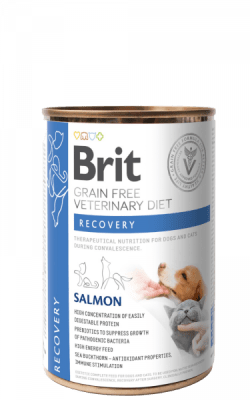 Brit GF VET Diet Dog / Cat Recovery (Lata 400 gr)