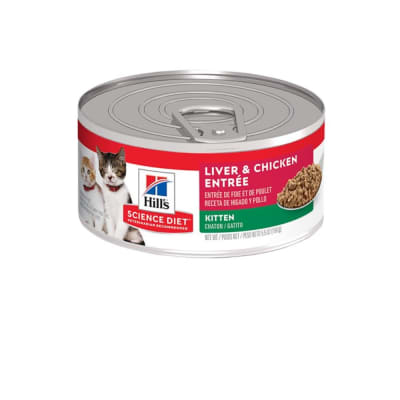 Hills SD Kitten H. Development (Lata)