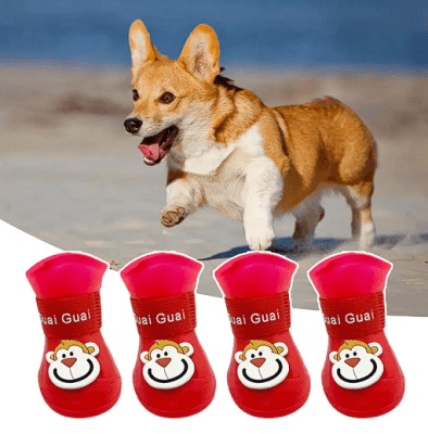 Zapato para perro de silicona para lluvia (Talla Large Rojo)