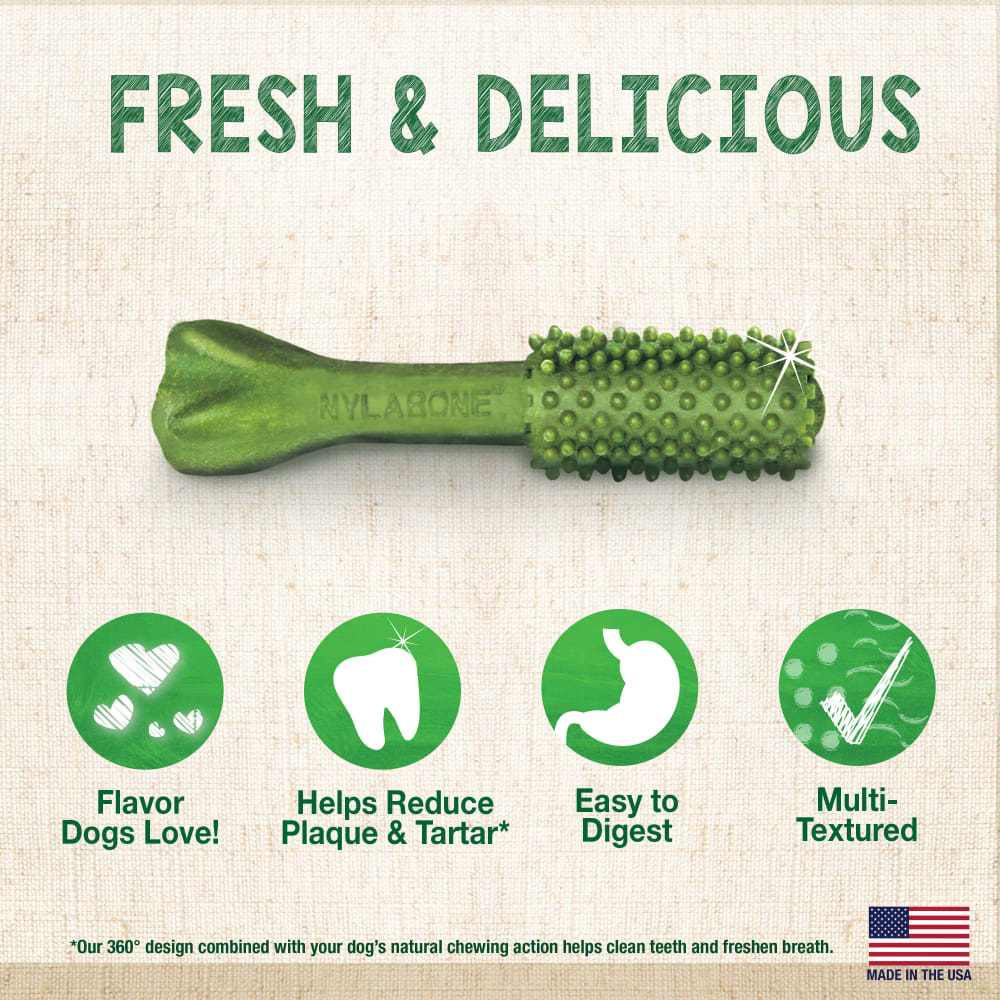 Nylabone Snack Para Perro Nutri Dent Freshens Breath - Small2