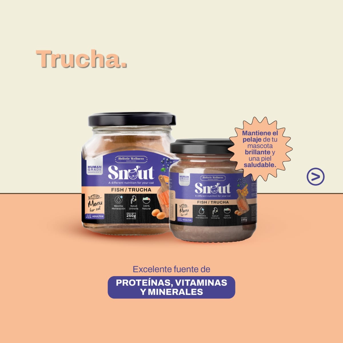Snout - Menú for Cat Trucha 160gr1