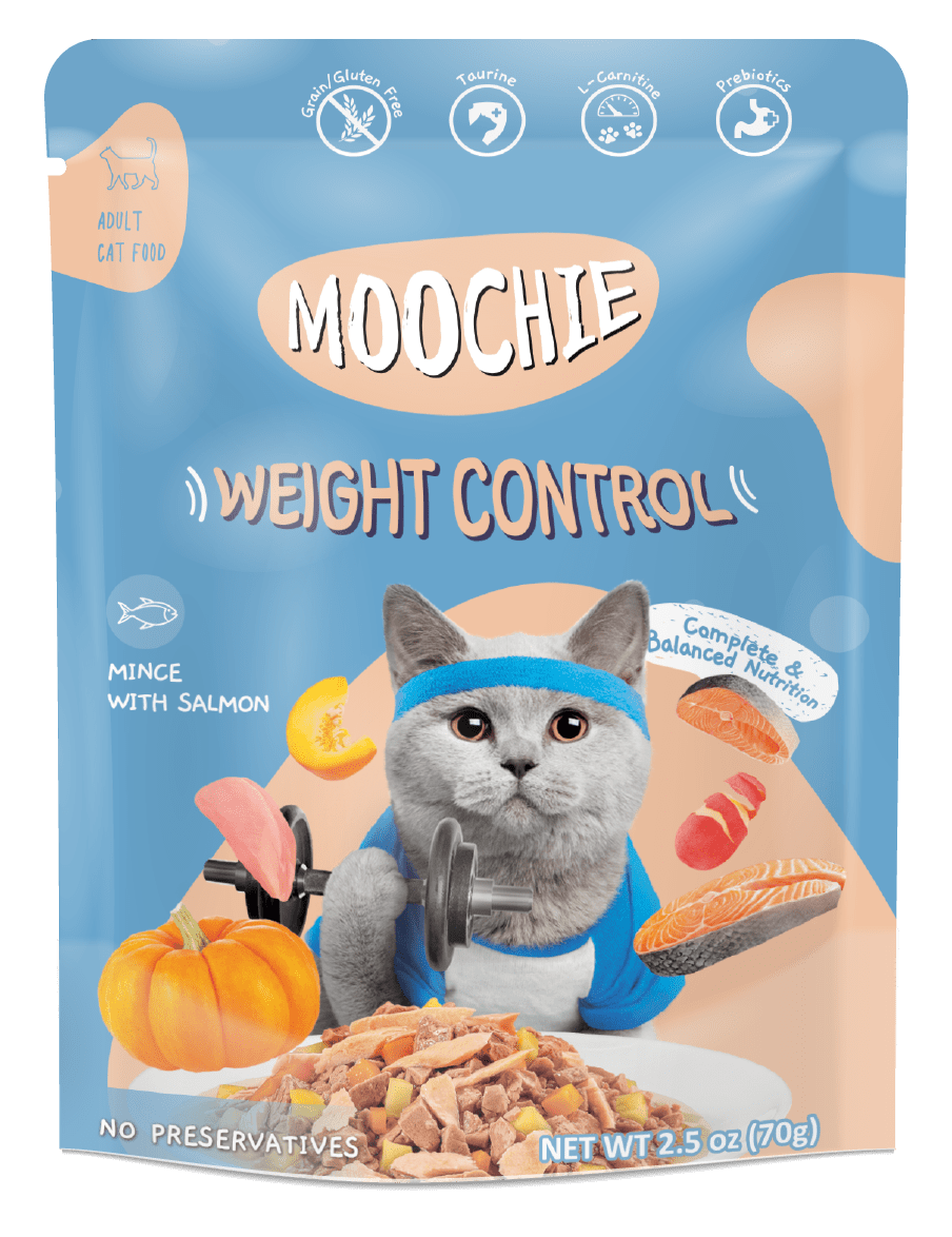 MOOCHIE PATÉ CONTROL DE PESO TROZOS DE PESCADO - 70gr1