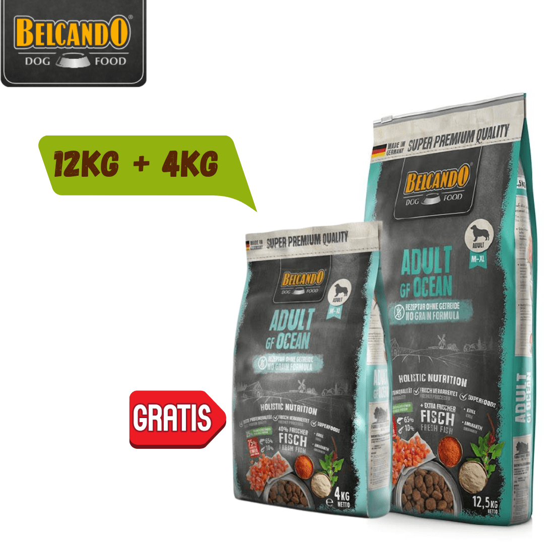Pack Promoción Belcando Adult GF Ocean 12.5kg + 4kg Regalo1