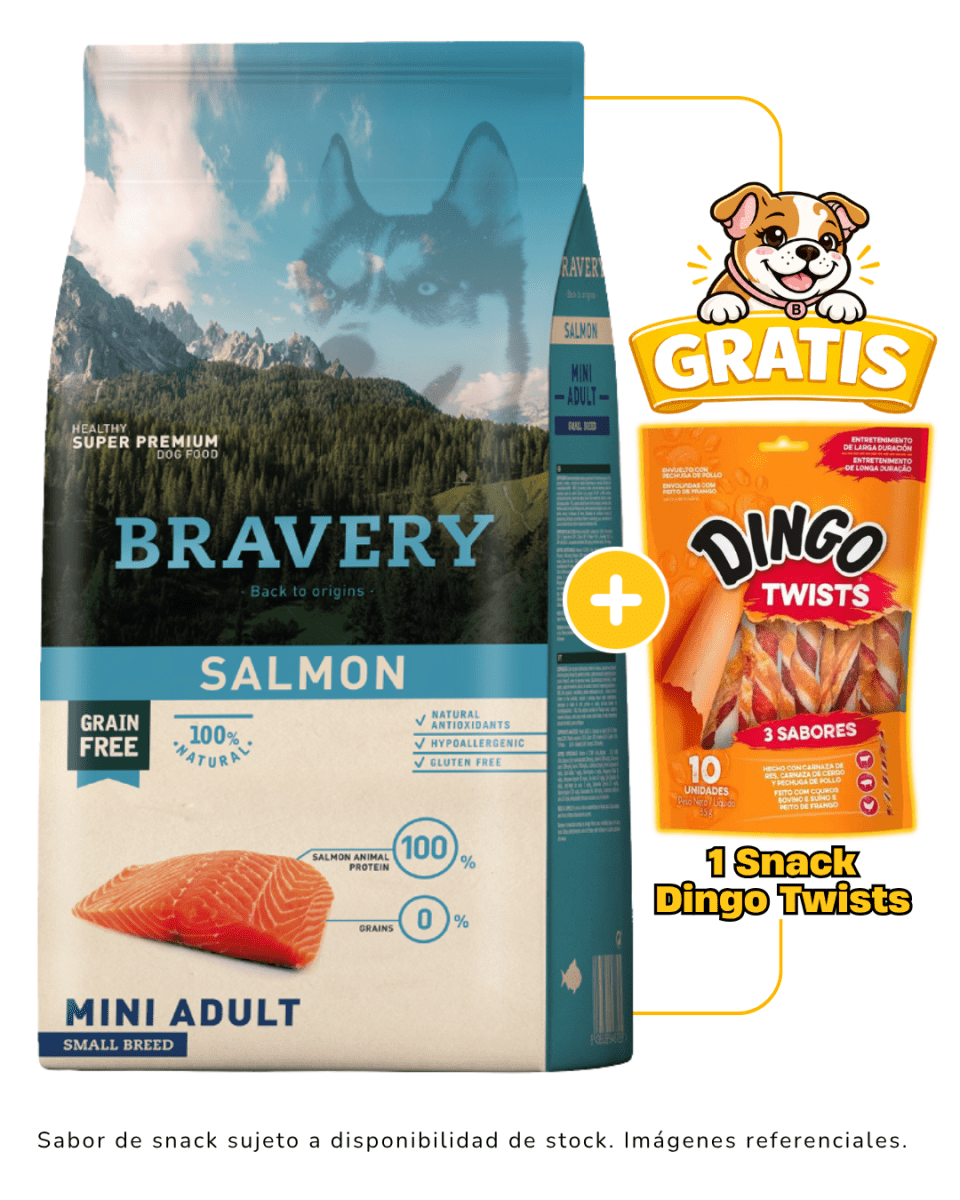 BRAVERY SALMON MINI ADULT SMALL BREEDS 2kg + 1 Snack Dingo gratis1