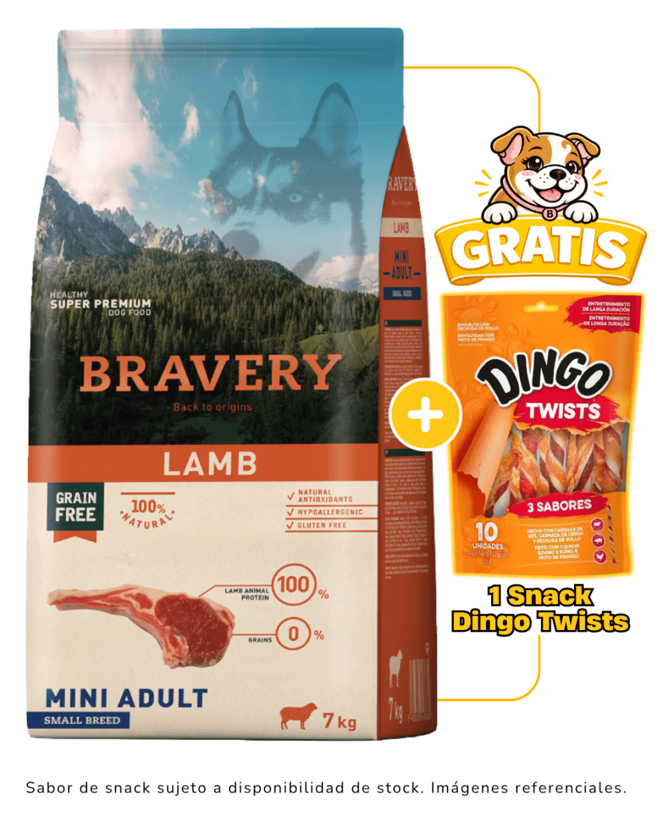 BRAVERY LAMB MINI ADULT SMALL BREEDS 7kg + 1 Snack Dingo gratis1