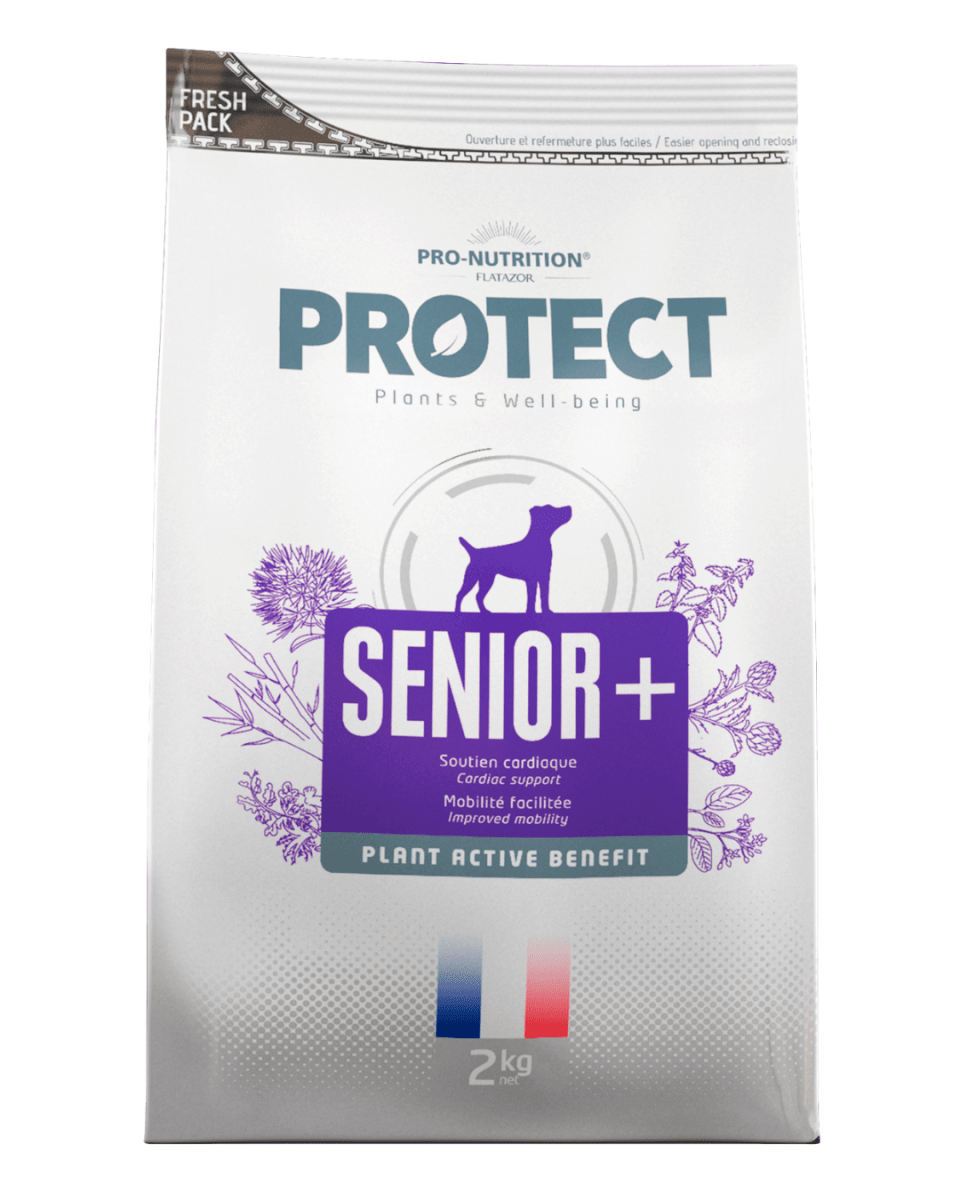 Protect Dog Senior 2kg1