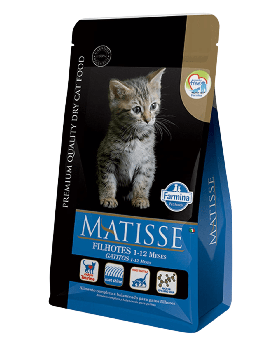 Matisse Filhotes 2kg1