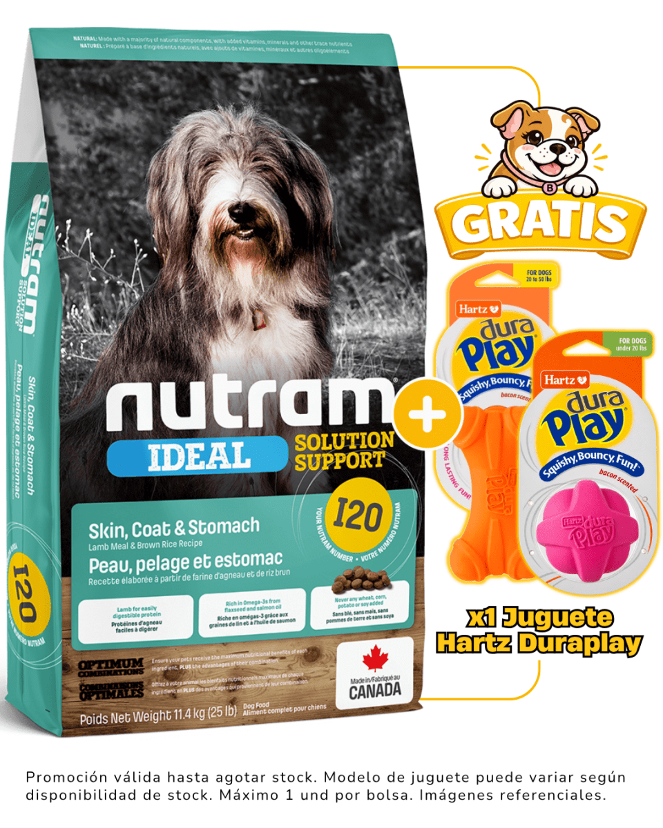 I20 NUTRAM IDEAL SENSITIVE SKIN COAT & STOMATCH DOG 11.4kg + 1 juguete Hartz gratis1