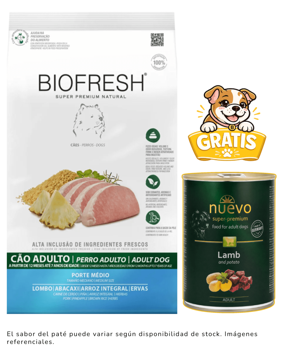Biofresh SP Perro Adulto Raza Mediana Cerdo y Piña 10.1kg + 1 paté gratis1