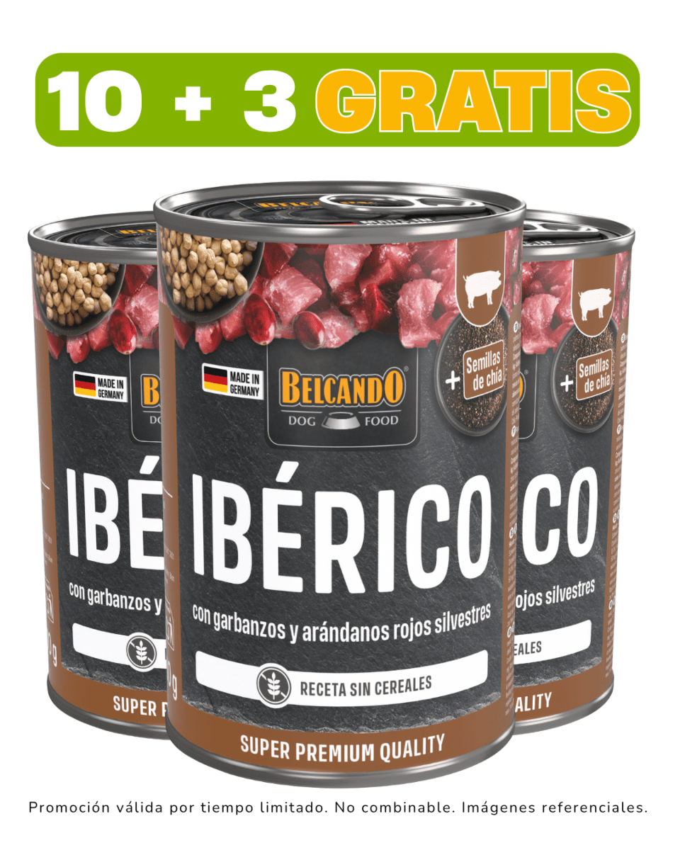 Belcando Ibérico con Garbanzos y Arándanos 400gr promoción 10 + 3 gratis1
