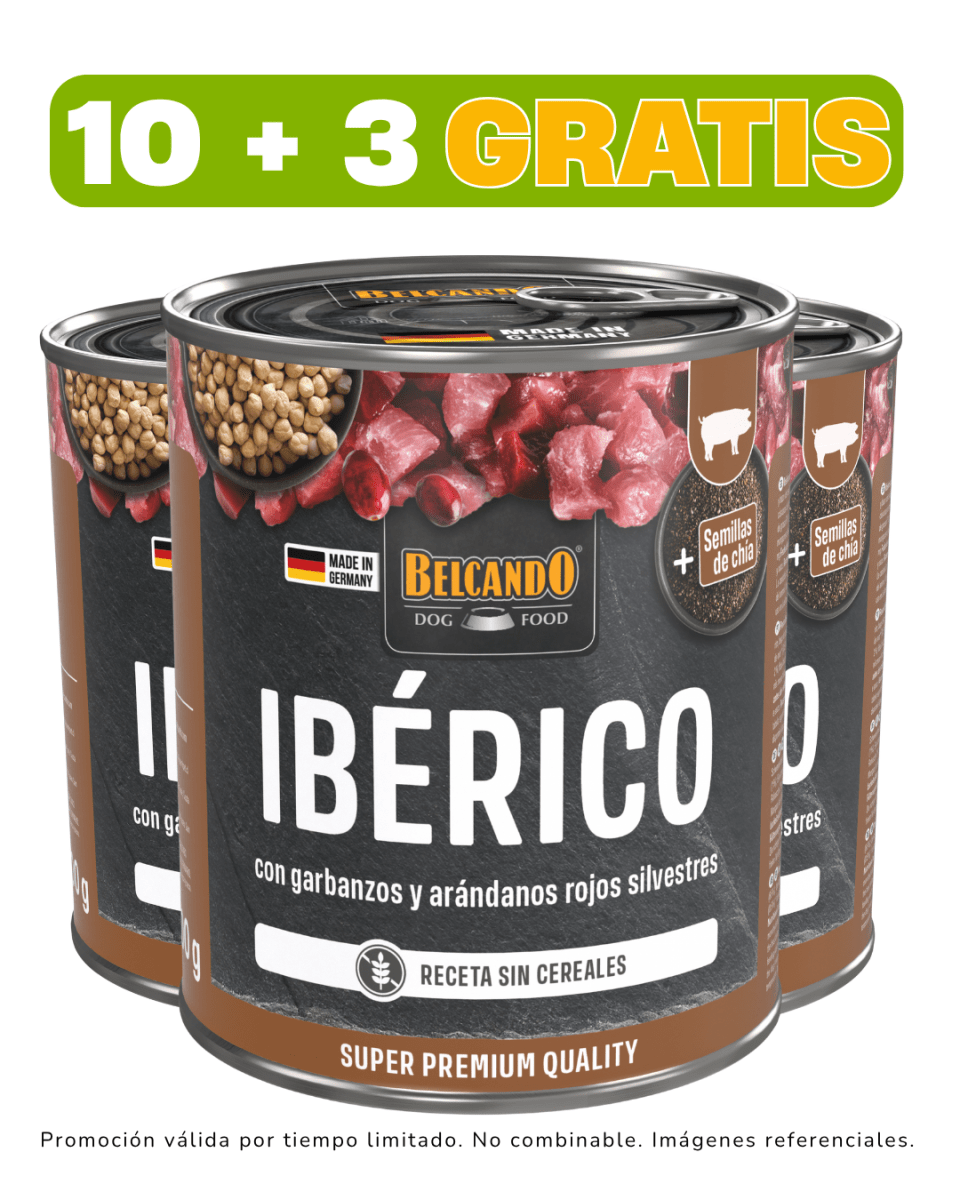 Belcando Iberico con garbanzos y arandanos 800 gr promoción 10 + 3 gratis1