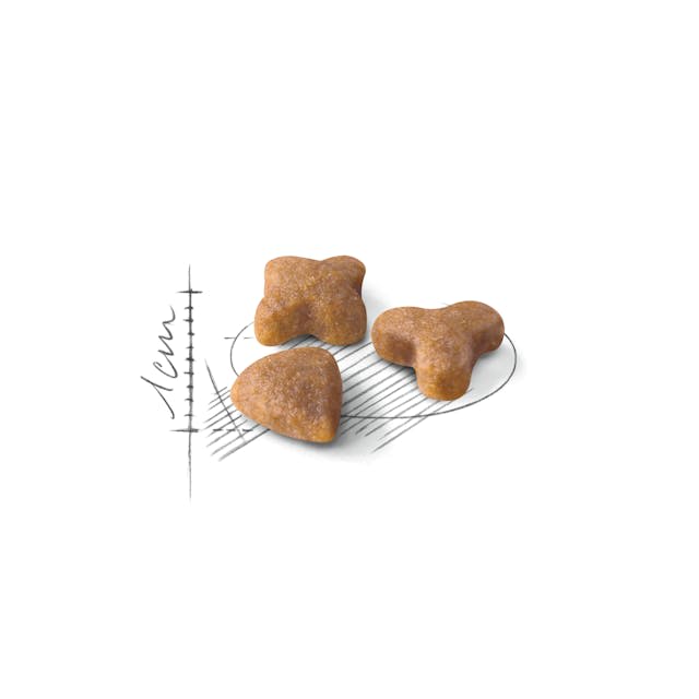 ROYAL CANIN FHN SENSIBLE 2kg2