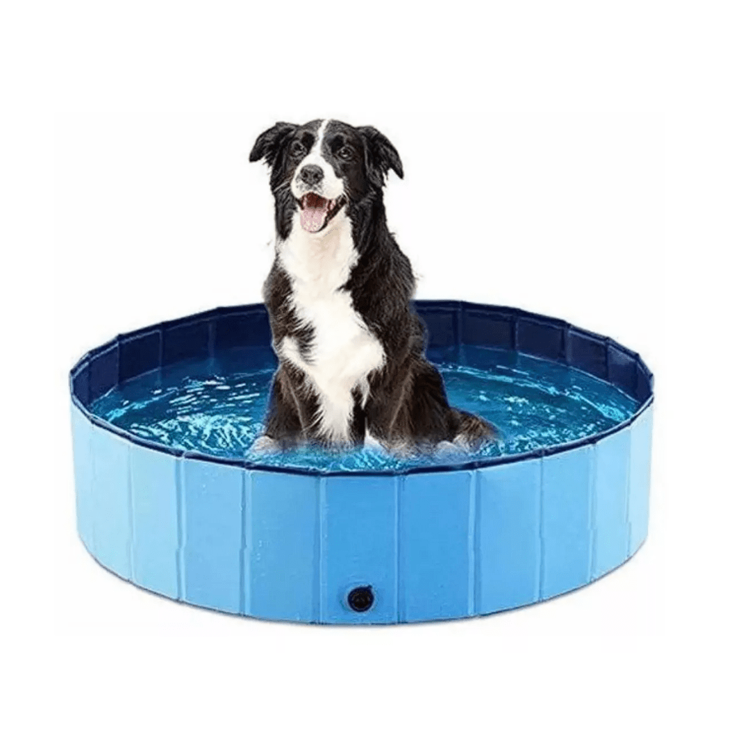 Piscina para Perros - 100cm x 30cm2