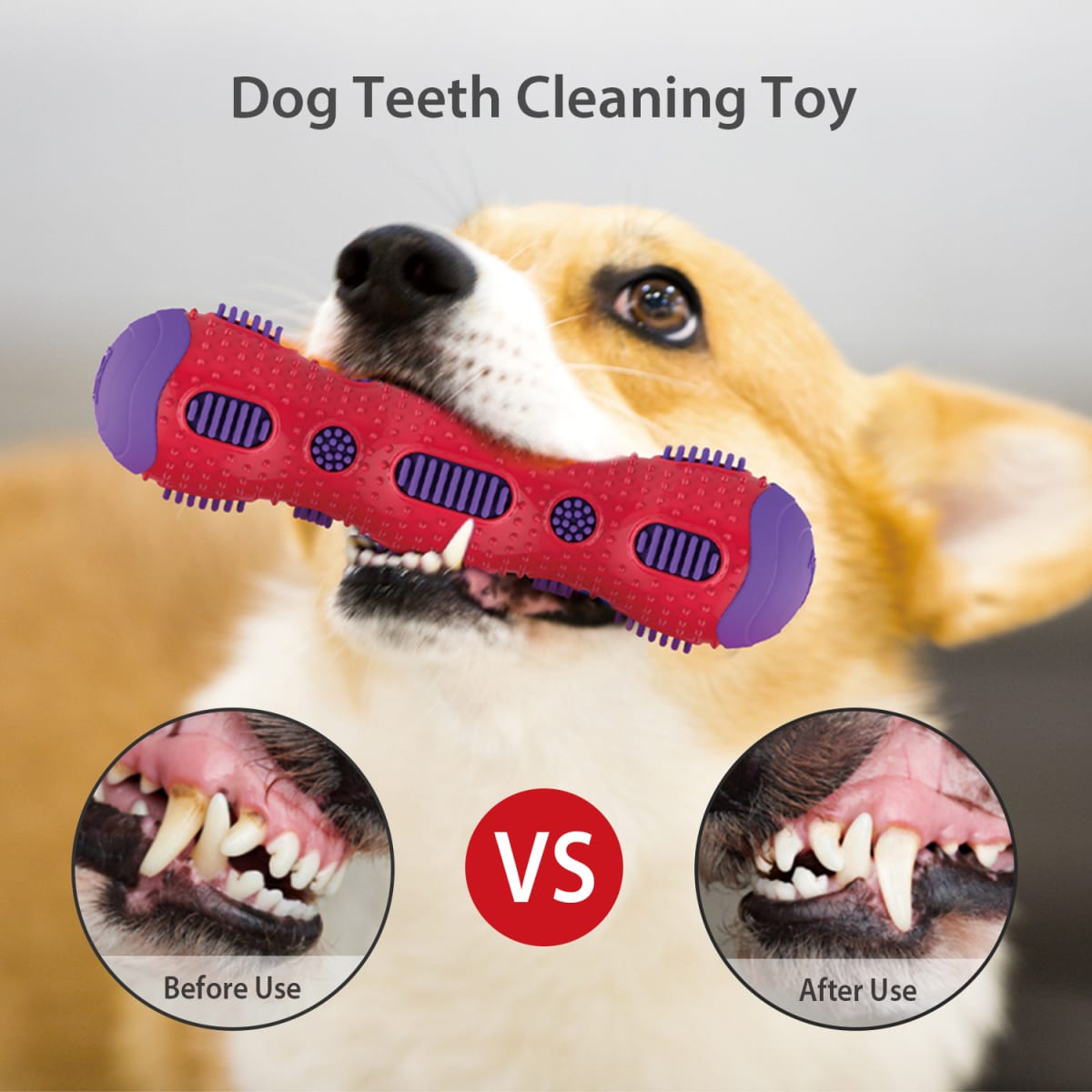GIGWI TOOTHBRUSH STICK2