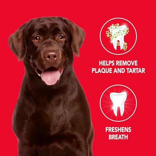 SENTRY PETRODEX PASTA DE DIENTES ENZIMATICA PARA PERROS - Poultry Flavor (70gr)2