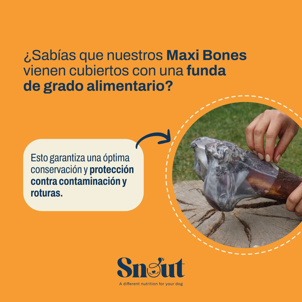 Snack Maxibone Natural4