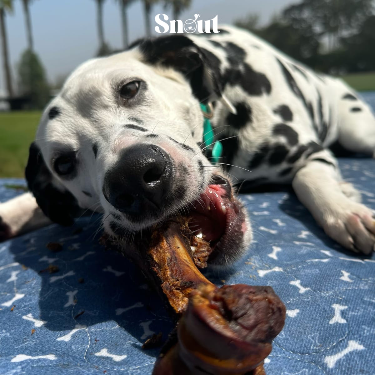 Snack Maxibone Ahumado2