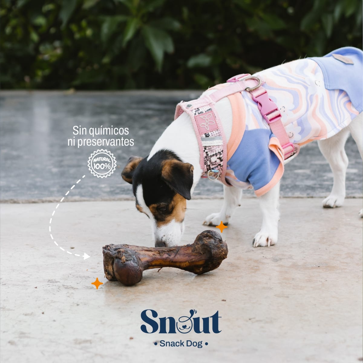 Snack Maxibone Ahumado3