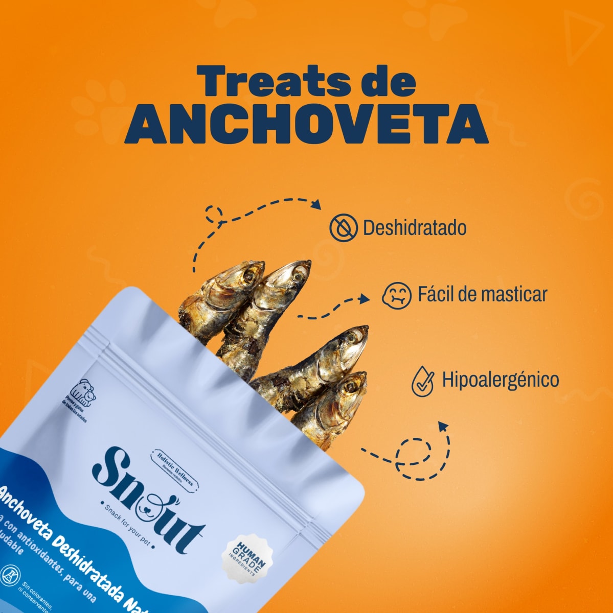 TREATS ANCHOVETA DESHIDRATADA NATURAL X 80 GR2